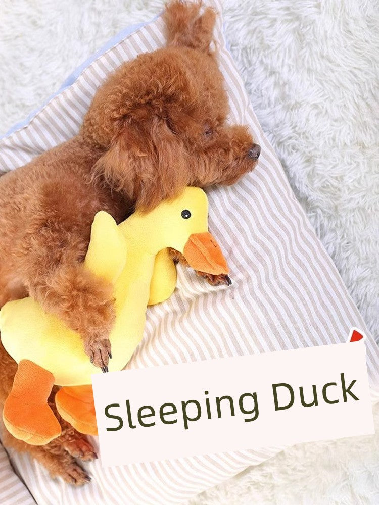 Yellow Duck Teddy/Pomeranian Shiba Inu Pet Companion Dog