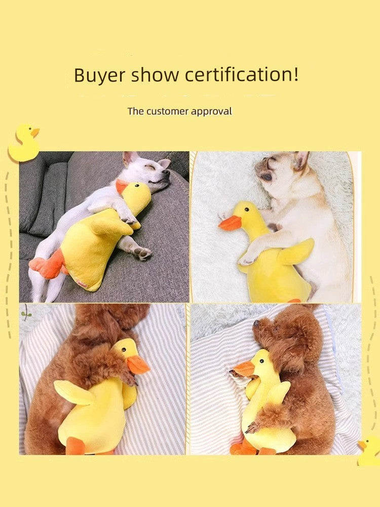 Yellow Duck Teddy/Pomeranian Shiba Inu Pet Companion Dog